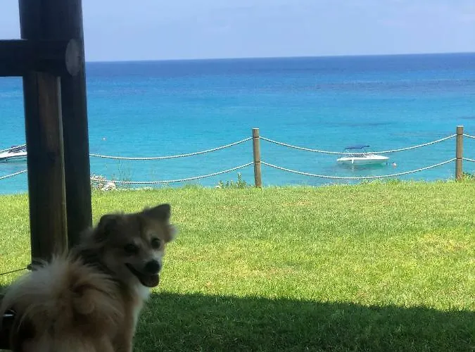 דירה Mythical Sands - Good Vibes פאראלימני